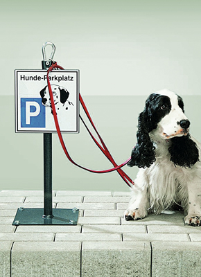 Parkoló-hely kutyák részére, kikötés karabínerrel a padlózathoz-rögzítéshez, kivitel: tűzhorganyzott és RAL 7016 antracitszürke porszórásos bevonat